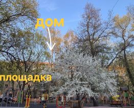 2-комн.кв., 43 м², этаж 2