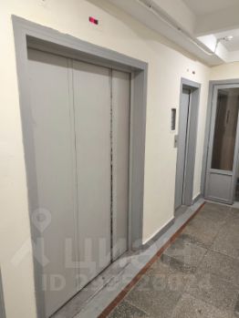 3-комн.кв., 65 м², этаж 13