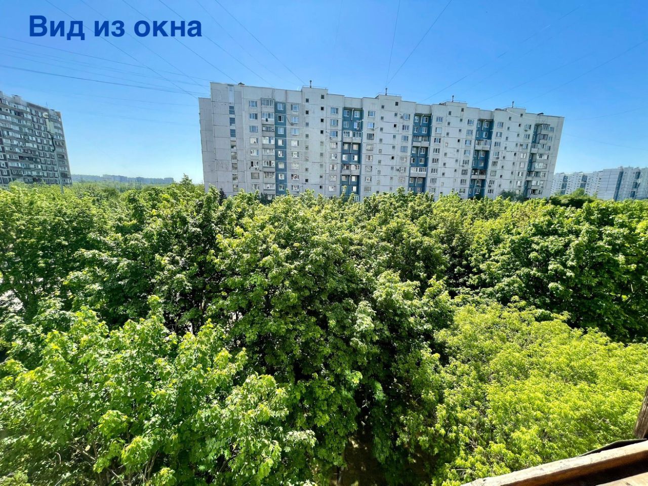 Продаю однокомнатную квартиру 38,7м² Алма-Атинская ул., 3К2, Москва, м.  Алма-Атинская - база ЦИАН, объявление 302468567