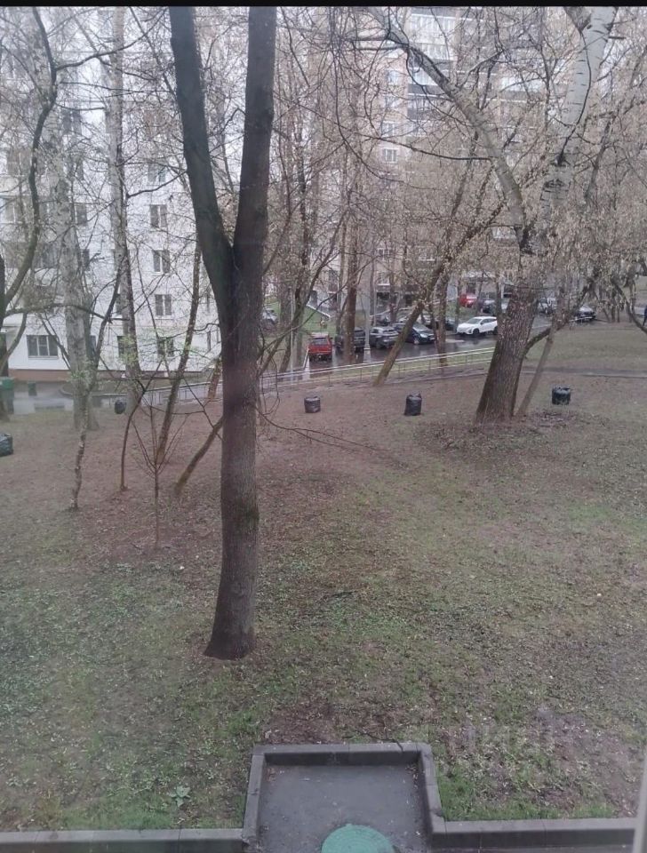 Квартира