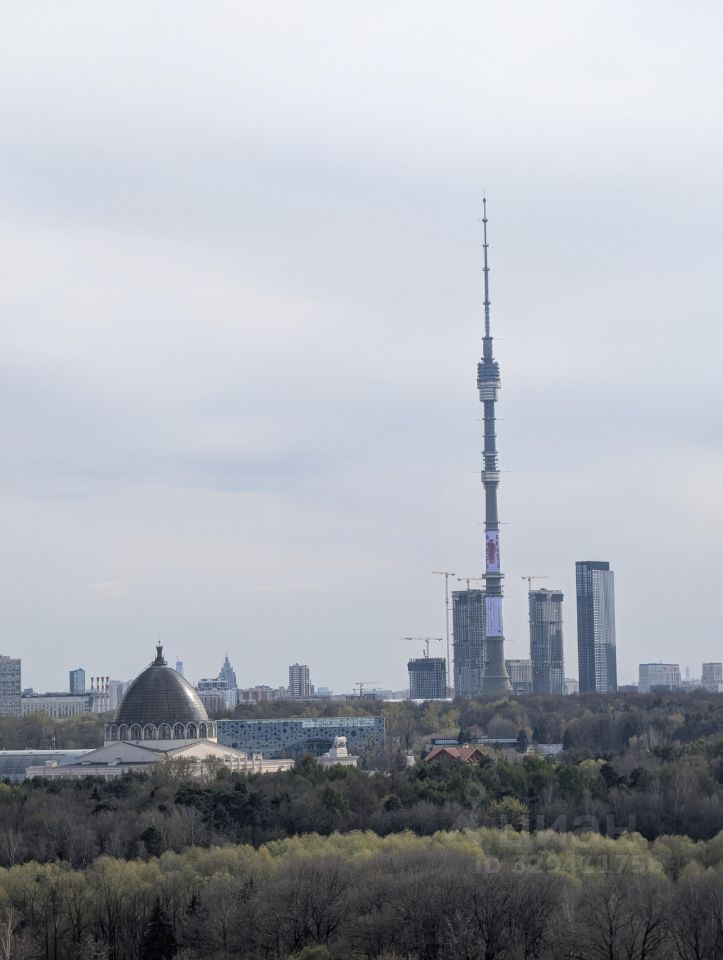 Квартира со свободной планировкой, 48,1 м² — фото 6
