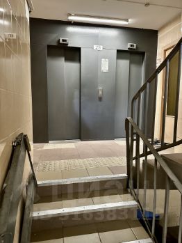 студия, 33 м², этаж 11