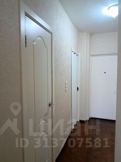 1-комн.кв., 36 м², этаж 11