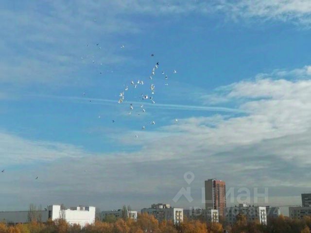 2-комн., 43 м², 11/16 этаж