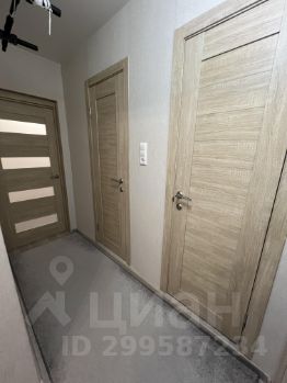 2-комн.кв., 56 м², этаж 8