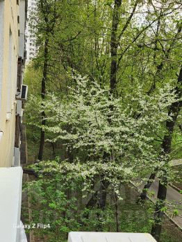 3-комн.кв., 64 м², этаж 3