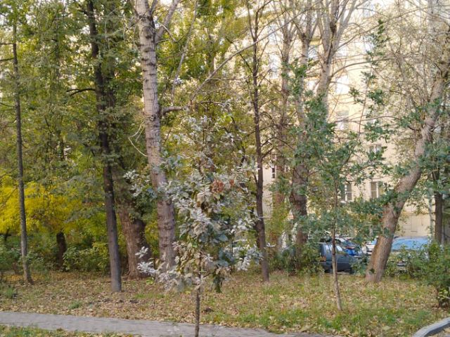 2-комн., 58 м², 2/8 этаж