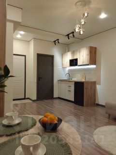 апарт.-студия, 23 м², этаж 4