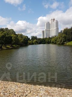 1-комн.кв., 43 м², этаж 34