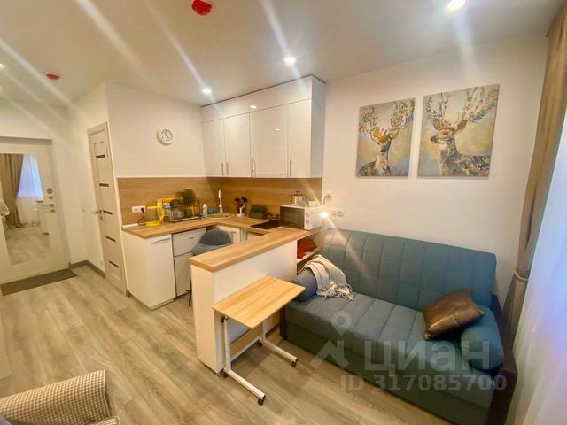 Апартаменты-студия, 19 м², 1/17 этаж