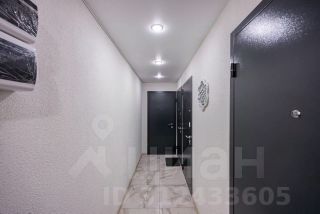 студия, 15 м², этаж 1