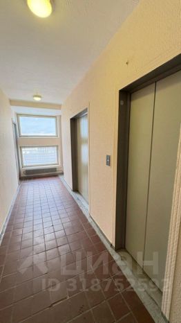 2-комн.кв., 53 м², этаж 8