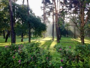 2-комн.кв., 38 м², этаж 5 2-комн.кв., 38 м², этаж 5