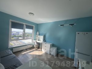 студия, 20 м², этаж 16