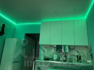 студия, 20 м², этаж 16