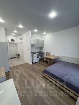 студия, 26 м², этаж 8