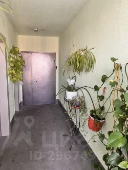 2-комн.кв., 51 м², этаж 16