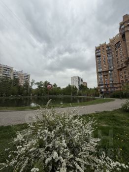 3-комн.кв., 74 м², этаж 13