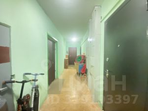 2-комн.кв., 52 м², этаж 11
