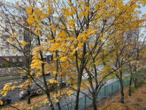 3-комн.кв., 74 м², этаж 3