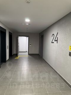 3-комн.кв., 62 м², этаж 24