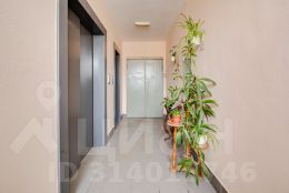 2-комн.кв., 54 м², этаж 17