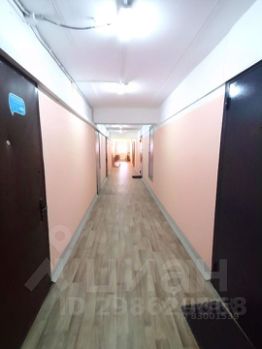 студия, 19 м², этаж 12