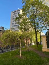 2-комн.кв., 41 м², этаж 7