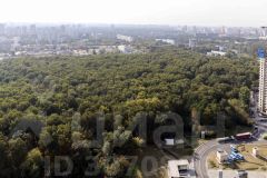 2-комн.кв., 79 м², этаж 31