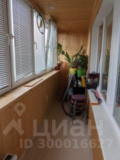 2-комн.кв., 50 м², этаж 13