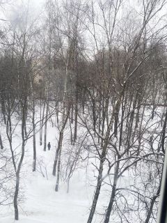 1-комн.кв., 35 м², этаж 5