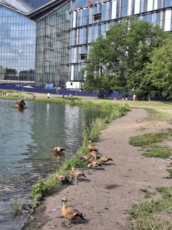 1-комнатная квартира, 31 м² — фото 2