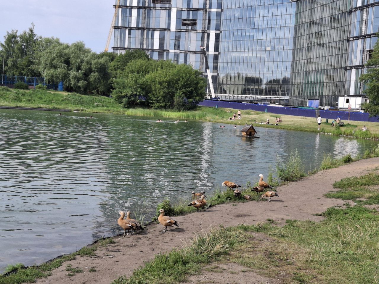1-комнатная квартира, 31 м² — фото 1