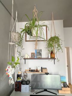 3-комн.кв., 78 м², этаж 5