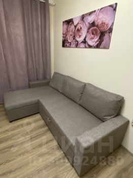 студия, 20 м², этаж 1