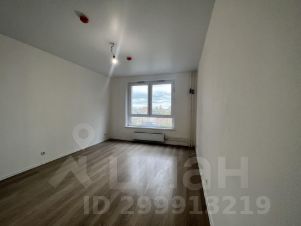 студия, 22 м², этаж 12