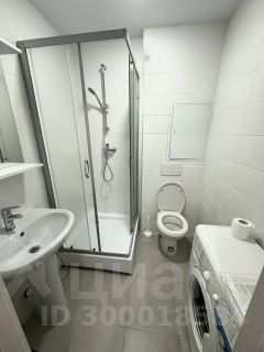 студия, 26 м², этаж 18