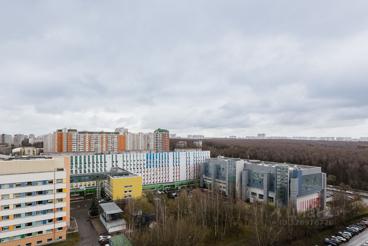 Удачная планировка и виды на парк, Москва