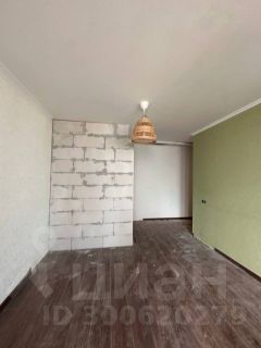 студия, 24 м², этаж 1