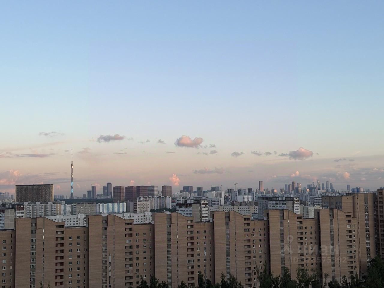 Квартира-студия, 33,8 м² — фото 7