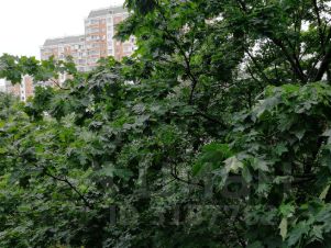 3-комн.кв., 62 м², этаж 7