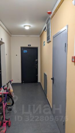 2-комн.кв., 55 м², этаж 13