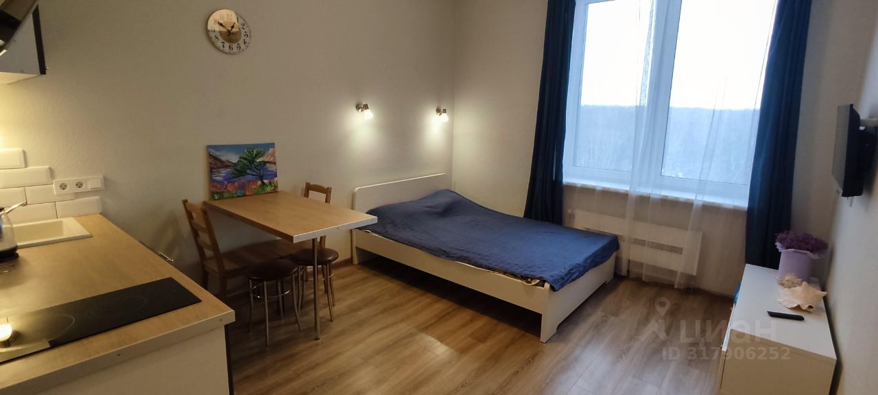 Квартира-студия, 22,7 м² — фото 4