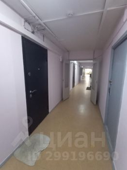 студия, 16 м², этаж 2