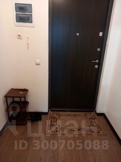 студия, 24 м², этаж 12