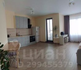 студия, 26 м², этаж 14