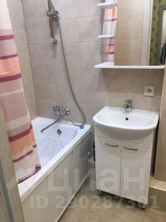 студия, 24 м², этаж 11