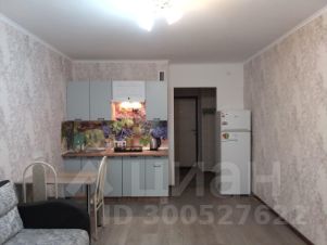 студия, 25 м², этаж 2