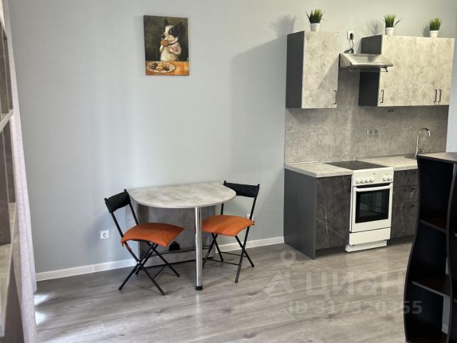Студия, 31 м², 13/17 этаж