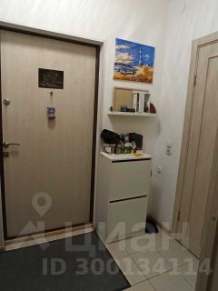 студия, 24 м², этаж 3